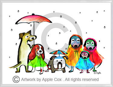 Dogs with raincoats