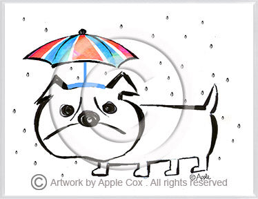 bulldogwithrainhat