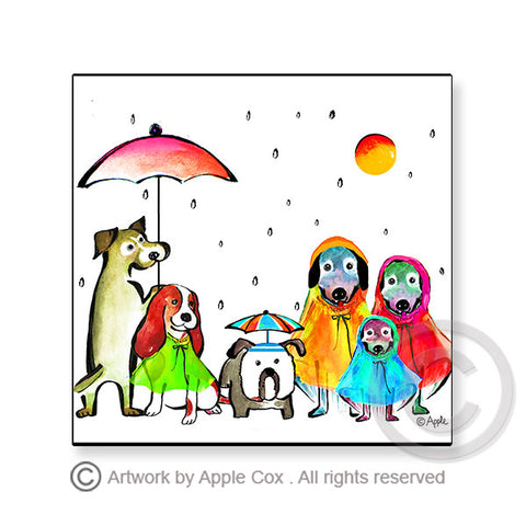 8x8 canvas--Dog with raincoat