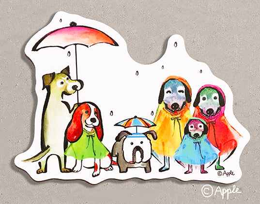 Dogs with raincoat